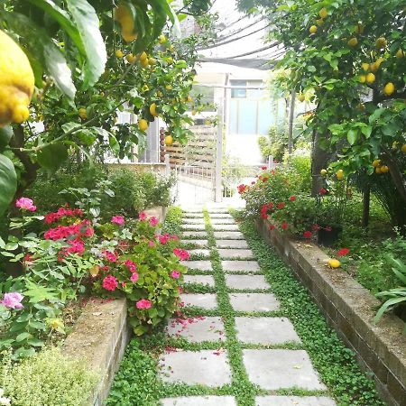 Il Vialetto Dei Limoni Bed & Breakfast Vico Equense Exterior photo