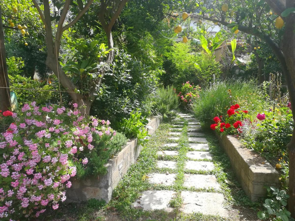 Il Vialetto Dei Limoni Bed & Breakfast Vico Equense Exterior photo