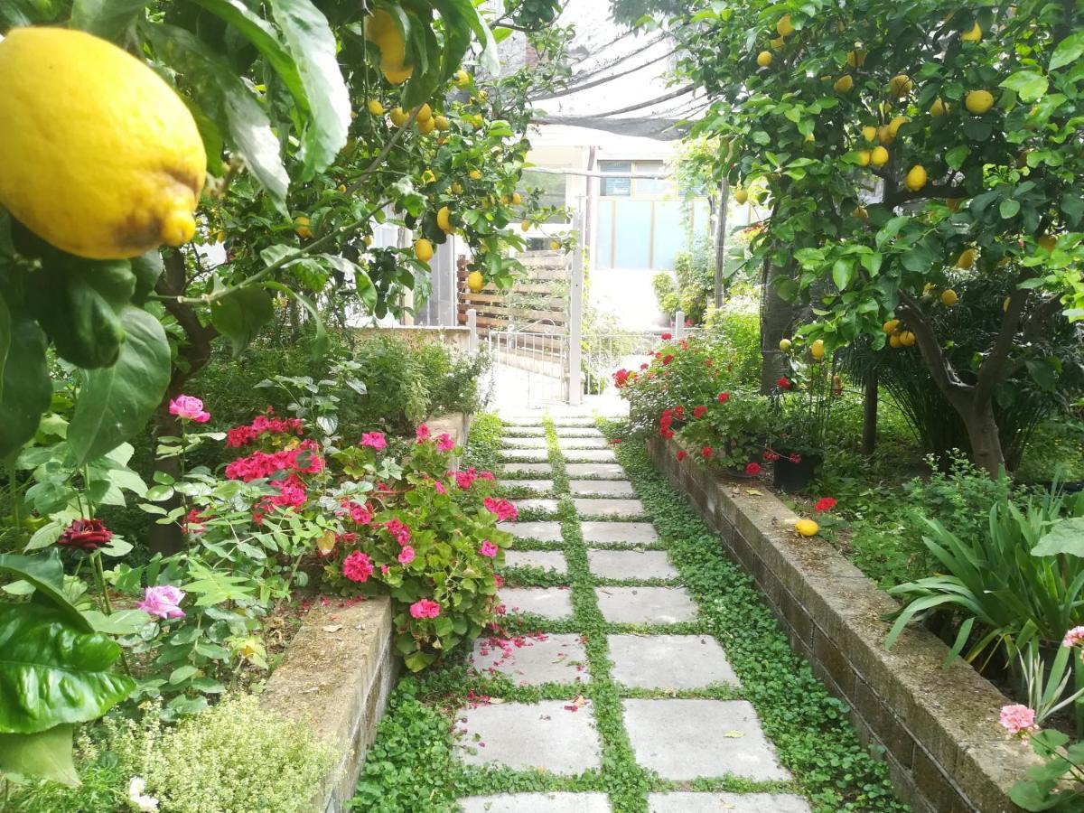 Il Vialetto Dei Limoni Bed & Breakfast Vico Equense Exterior photo